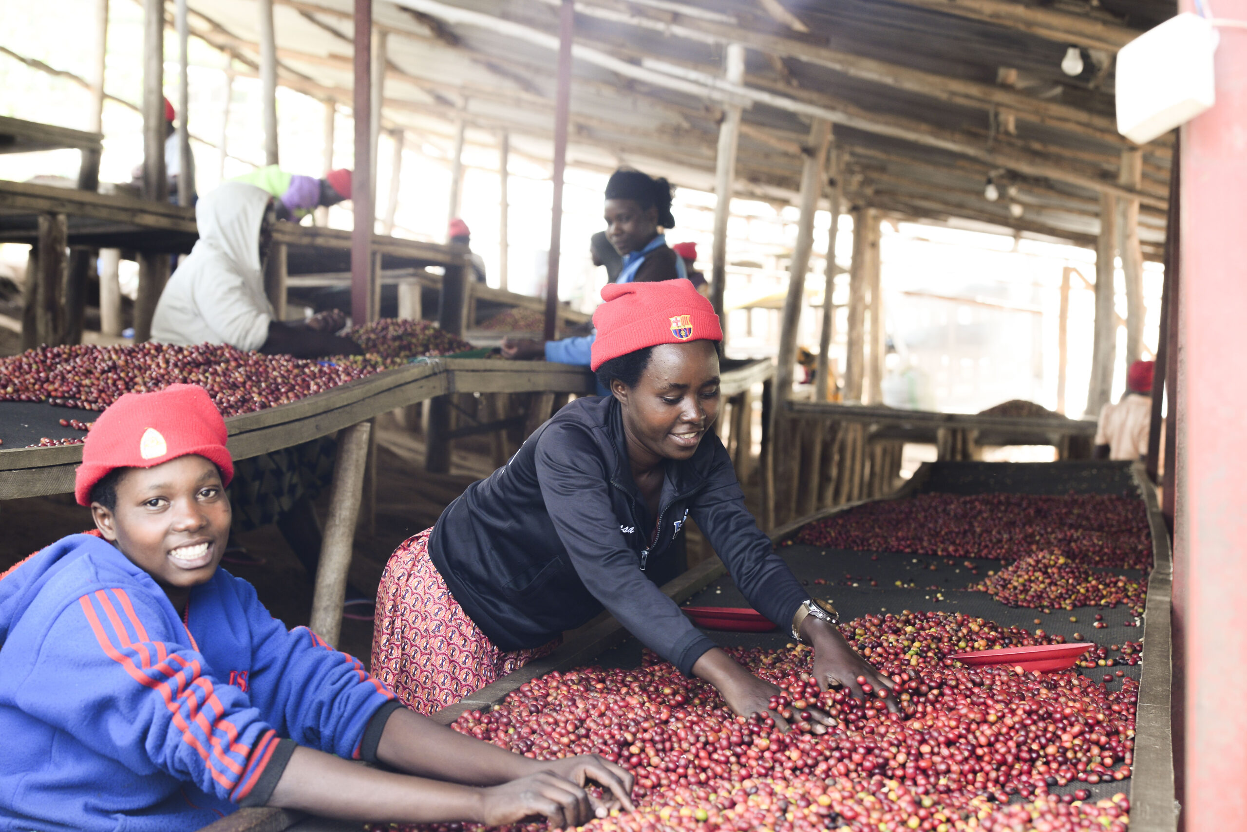 Products in Trade Fair